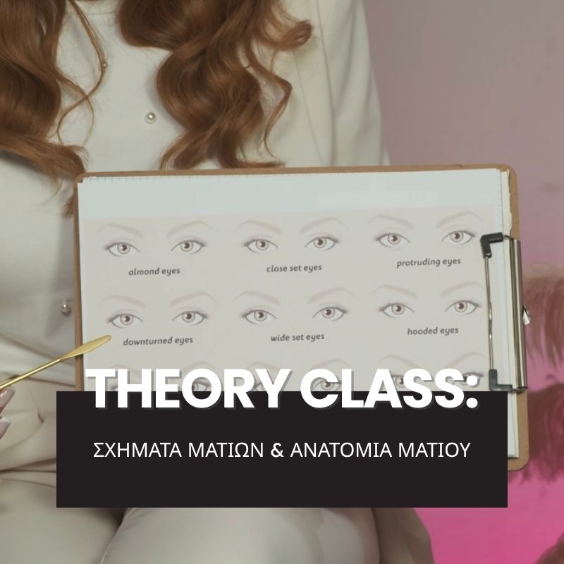 Θεωρία – Σχήματα Ματιών & Ανατομία Ματιού